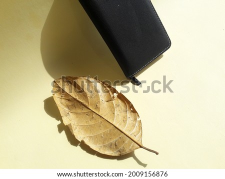 Photo of dry leaves and books on table on yellow background