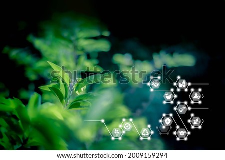 Blurred nature background with ai technology IOT. Herbal remedies. Nature sustainable energy logo. Agriculture, environmental and alternative medicine concept. Ecology reuse and data analysis report