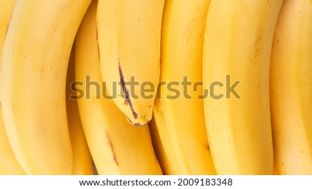 Yellow whole bananas close up background