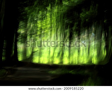 abstract picture of a dark forest, light at the end of the road