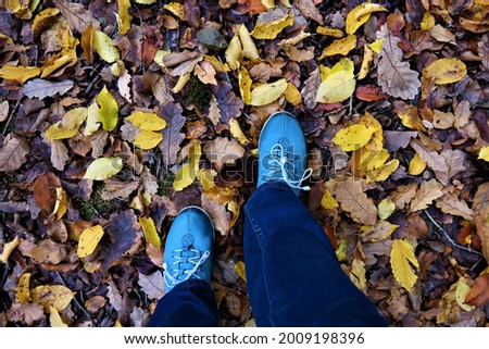 walking through the autumn forest the view of the legs in jeans and sneakers blue and yellow