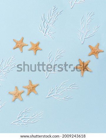 Summer nautic flat lay with sea stars and white coral on blue background. Summer time rest concept, image for wallpapers, cards, calendars of theme of sea life.