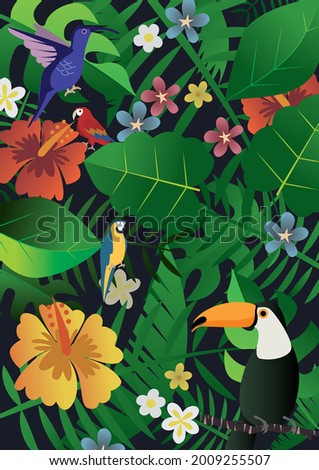 Tropical summer vacation subtropical image background
