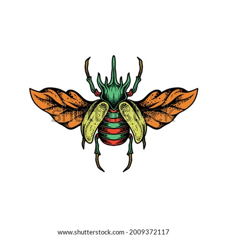 Insect drawing. Creative illustration. Creative design.