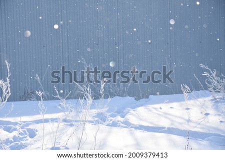 Defocused snowflakes falling on ground covered with snow in sunlight in wintertime 