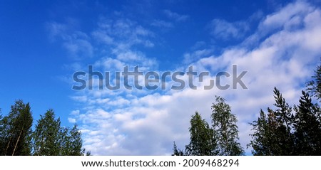 Environment green colour leaf tree plant wallpaper background view landscape day light outdoor beautiful natural fresh branch street summer season weather cloud blue sky forest white wood sunshine 