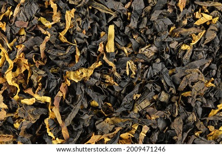 Tobacco texture. High quality dry cut tobacco big leaf, macro close up. Tobacco texture dry cut leaf, close up, background 