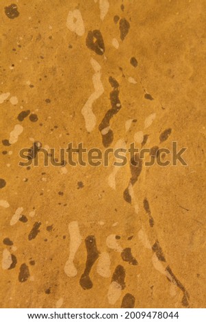 natural background texture of river sand under clear water