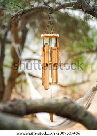 Hand made Wind Chimes hanging on a Mediterranean pine tree. Royalty-Free Stock Photo #2009507486
