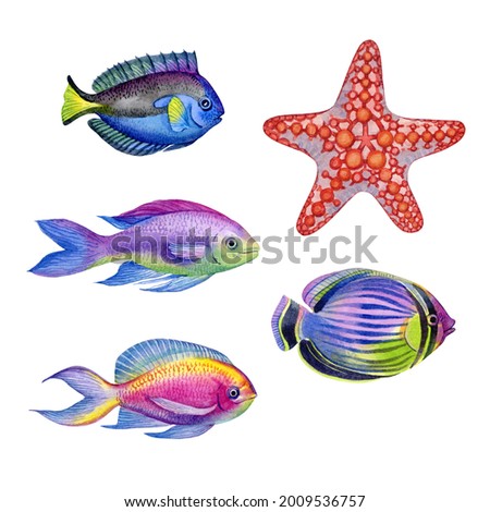 Fishes and sea star set. Watercolor hand drawn tropical fishes and seastar collection illustration. Can be used as print, poster, packaging design, element design, textile, stickers, fabric design.