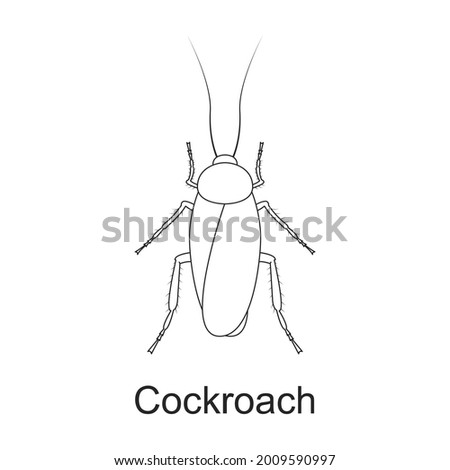 Beetle insect vector outline icon. Vector illustration bug insect on white background. Isolated outline illustration icon of beetle pest .
