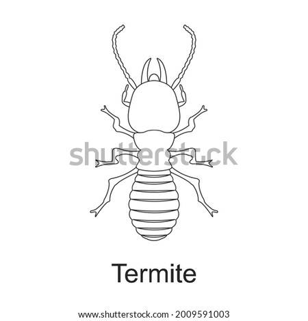 Beetle insect vector outline icon. Vector illustration bug insect on white background. Isolated outline illustration icon of beetle pest .