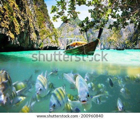 Underwater picture with fish and traditional longtail boat in Maya bay, Ko Phi Phi Le, Tailand