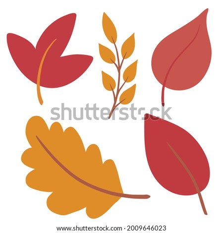 Autumn leaves hand drawn set in simple flat style. Cute foliage vector illustration collection isolated on white background. Clip art elements for fall design, Thanksgiving