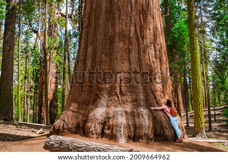 Cute young girl hugs a huge tree in Sequoia National Park, USA Royalty-Free Stock Photo #2009664962