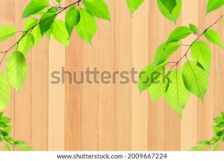 Background material of wood grain and ivy.