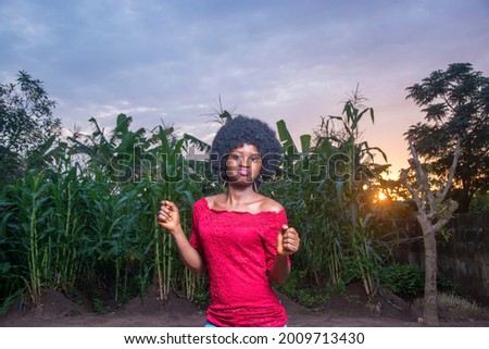 Portrait of an African lady or woman wearing a red dress and afro hair style happily posing for photograph on a green maize farmland or corn plantation that is almost due for crop harvest 