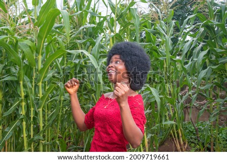 A cute African lady wearing a red dress and afro hair style happily spreading her hands wide with fist clenched in jubilation on a green maize farm or corn plantation towards harvest session
