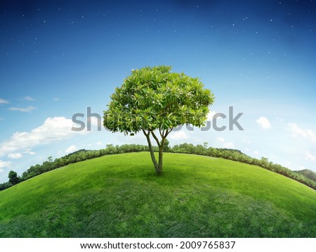 Small planet earth in environmental conservation or eco friendly concept. Alone single tree on green grass lawn garden with forest and starry blue sky background. Royalty-Free Stock Photo #2009765837