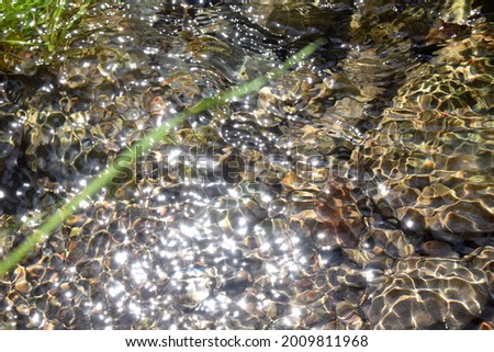 Sun glare on the surface of the stream creates unique pictures