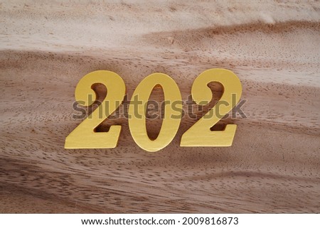 Gold number 202 on a dark brown to white wood grain background.