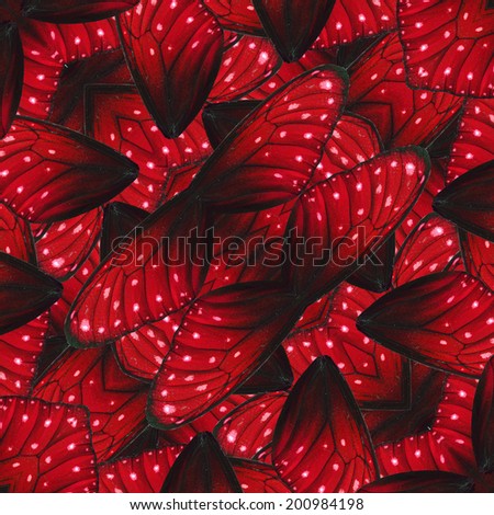 Closel up of red background pattern made of Stripe Blue Butterfly's wing skin texture