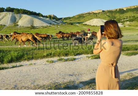 woman making photo of wild horses on mountains background. summer time.                        