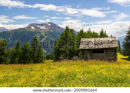 an old mountain hut in the middle of an beautiful grassland at the national park hohe tauern next to Matrei, Osttirol Austria  Royalty-Free Stock Photo #2009881664