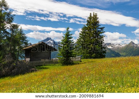 an old mountain hut in the middle of an beautiful grassland at the national park hohe tauern next to Matrei, Osttirol Austria  Royalty-Free Stock Photo #2009881694