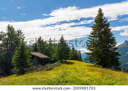 an old mountain hut in the middle of an beautiful grassland at the national park hohe tauern next to Matrei, Osttirol Austria  Royalty-Free Stock Photo #2009881703