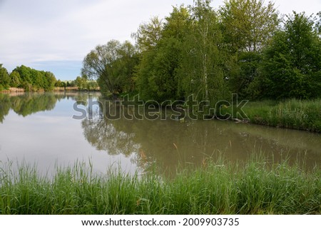 Morning by the pond. Rouske. East Moravia. Europe.