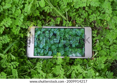 mobile device on grass green plant, nature close up flora garden wallpaper background
