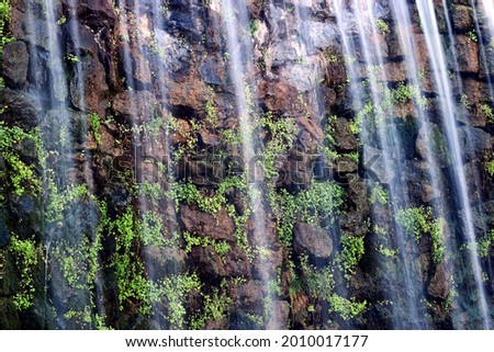 thin layer of waterfall in slow motion and blur. rocks and green plants behind. summer nature scene. vertical rough textured stone wall. lush green climber plants. thin water screen