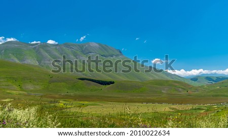 The colors of the fields of lenil full of flowers at Castelluccio di Norcia