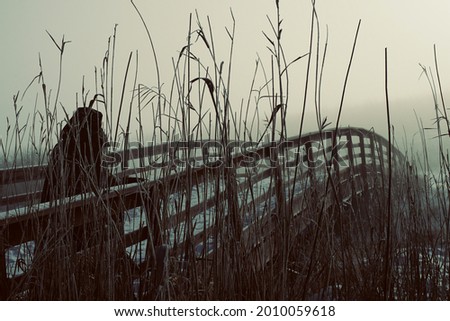  A cloaked woman walking over a wooden bridge in winter hoar frost. Creative colors.  Royalty-Free Stock Photo #2010059618