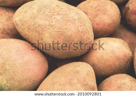 Smooth potatoes. Picture of vegetables for a sign in the store