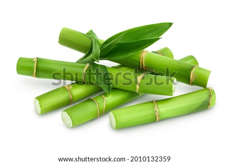 Green bamboo with leaves isolated on white background with clipping path and full depth of field Royalty-Free Stock Photo #2010132359