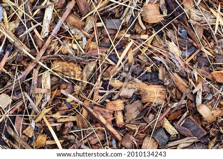 A bed of various mulch materials.