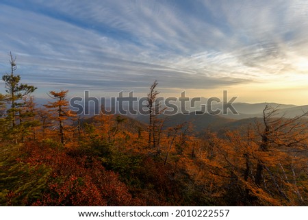 Sikhote-Alin Biosphere Reserve. The rocky slope of Mount Lysaya. Nice view of the ridge of low hills. Dawn in the mountains.