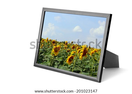 Picture frame with sunflowers field landscape photo on the white background. Collage of my photos