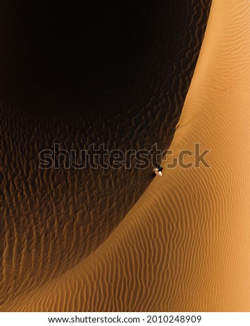 Patterns of shadow and light on sand dunes. Royalty-Free Stock Photo #2010248909