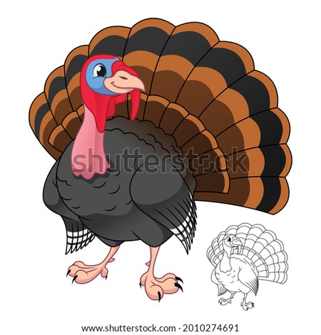 Male Turkey Bird with Line Art Drawing, Animal Birds, Vector Character Illustration, Cartoon Mascot Logo in Isolated White Background.