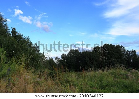 Part of a Swedish landscape. Meadow, grass and bushes with a blue and white sky. Stockholm, Sweden, Europe.