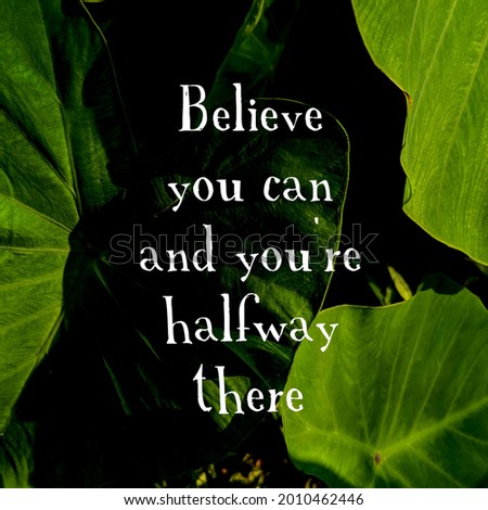 A motivational quote with white font on the background of the leaves of a plant