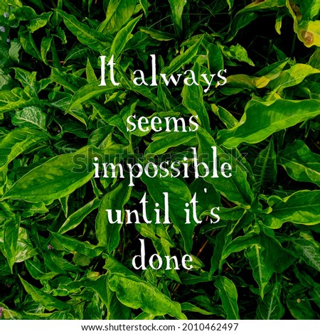 A motivational quote with white font on the background of leaves of a plant