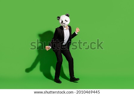 Photo of carefree joyful man corporate event dance wear panda mask black tux shoes isolated on green color background