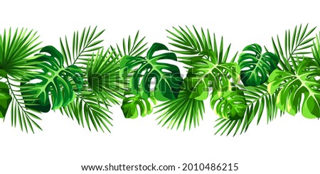 Vector tropical horizontal seamless border with green monstera and palm leaves on a white background.