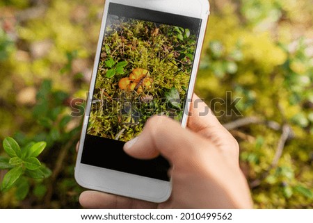technology, picking season and people concept - hand with smartphone using mobile app to identify mushrooms