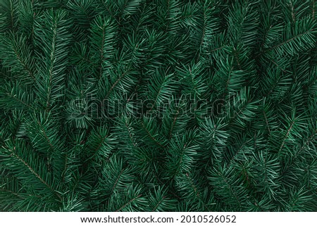 Natural fir tree branches texture. Dark green Christmas moody background. Winter pattern for Xmas decorations, ornament, noel cards. December festive backdrop, copy space
