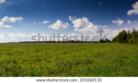 Summer landscape with clover field and blue sky